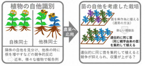 研究の背景の概要。（画像:東京大学発表資料より）