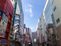 矢野経済研究所が「オタク」に関する消費者調査を実施。人数は漫画640万人、アニメ598万人の順。年間消費額/1人はアイドルが10.4万円で断トツ、次いでメイド6.8万円、鉄道模型6.3万円の順。