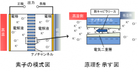 熱電バッテリー素子の模式図（左図）および原理を示す図（右図）（写真：東北大学の発表資料より）