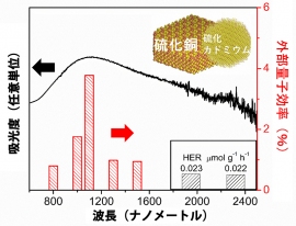 赤外線応答光触媒活性(写真:京大の発表資料より) 赤外線応答光触媒活性(写真:京大の発表資料より)