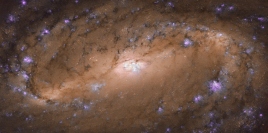 NASAが公開した画像。 (c) ESA/Hubble & NASA, L. Ho et al.
