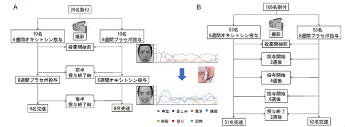 研究の概要。（画像:日本医療研究開発機構発表資料より）