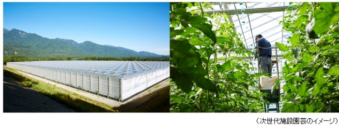 「次世代施設園芸」のイメージ。(画像: NTT東日本の発表資料より) 「次世代施設園芸」のイメージ。(画像: NTT東日本の発表資料より)