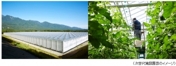 「次世代施設園芸」のイメージ。（画像: NTT東日本の発表資料より）