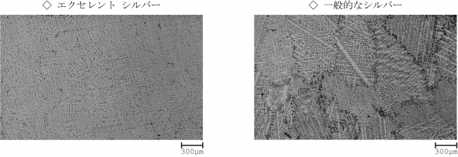 「エクセレントシルバー」の拡大写真（画像:マノエ発表資料より）