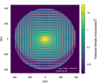 原始惑星系円盤の偏光パターンのシミュレーション結果 （東北大学の発表資料より）