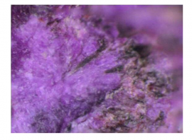 アルミノ杉石(写真の横幅は約 0.45 mm)。(画像:山口大学発表資料より) アルミノ杉石(写真の横幅は約 0.45 mm)。(画像:山口大学発表資料より)