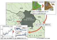 研究の概要図。（画像:京都大学発表資料より）