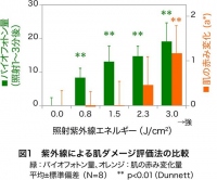 紫外線による肌ダメージ評価法の比較（花王発表資料より）