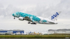 「FLYING HONU」の2号機。写真は、フランス・トゥールーズから日本へ向けて飛び立つ様子。（画像: 全日本空輸の発表資料より）