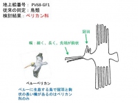 ペリカン類と同定できた地上絵。（画像:北海道大学発表資料より）