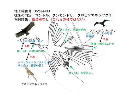 同定できなかった著名な地上絵。（画像:北海道大学発表資料より）