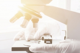 画像はイメージです。 画像はイメージです。