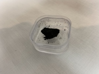 タギシュ・レイク隕石の一部。（画像:茨城大学発表資料より）