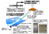 研究の概略。（画像:新潟大学発表資料より）