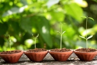 事業継続こそ中小企業の役割。戦わずして勝つ経営とは【財務はおもしろい～老舗企業の思考から学ぶ、 