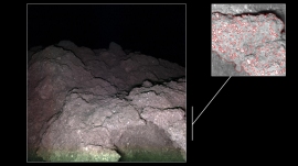 小惑星リュウグウ上の岩。所々に明るい部分が見える （c） MASCOT/DLR/JAXA