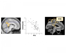 実験により示された脳活動と、幸福と関連する脳の部位（写真：京都大の発表資料より）