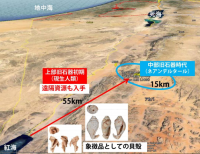 レヴァント地方の内陸乾燥域におけるネアンデルタール人と現生人類の資源獲得行動の違い。現生人類の特徴は居住域から離れた異なる環境とのつながりがあり、それを示す小型貝殻という象徴品を用いていたこと。（画像:名古屋大学発表資料より）