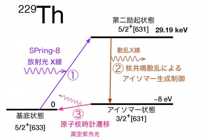 トリウム229のアイソマー状態の生成ルートについて。（画像: 岡山大学の発表資料より）