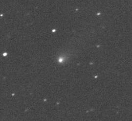 9月10日にカナダ・フランス・ハワイ望遠鏡により撮影されたC/2019 Q4。(c) Canada-France-Hawaii Telescope