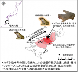 研究の概要（写真：東京農工大の発表資料より）