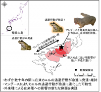 研究の概要（写真：東京農工大の発表資料より）