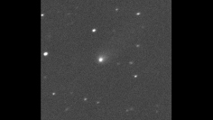 9月10日にカナダ・フランス・ハワイ望遠鏡により撮影されたC/2019 Q4。(c) Canada-France-Hawaii Telescope