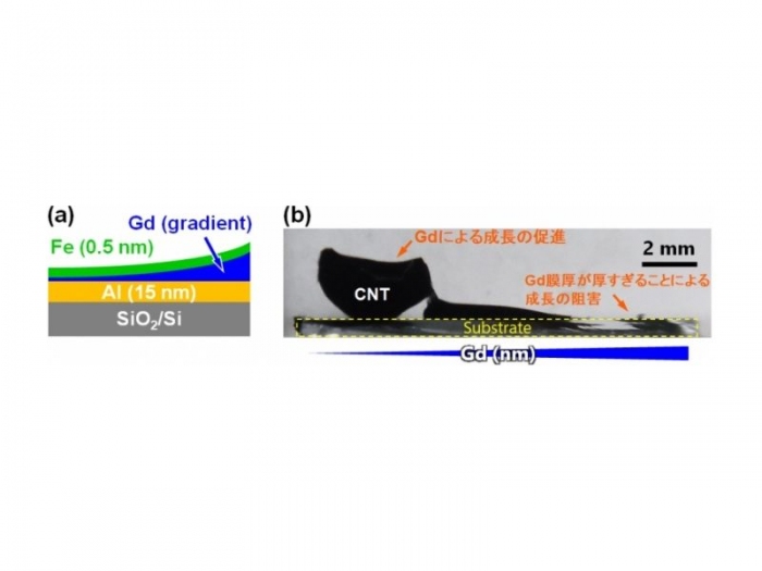  (a) コンビナトリアル手法によるガドリニウム(Gd)の勾配をつけたサンプルの模式図。(b)コンビナトリアル手法によるサンプルのCNT成長後の写真（画像: 早稲田大学の発表資料より）
