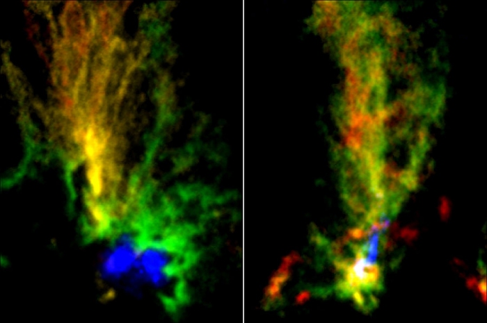 アルマ望遠鏡で撮影された2つの分子雲の疑似カラー合成図。赤色と緑色がそれぞれ、速度が異なる一酸化炭素の同位体分子13COからの電波を表す。左図の青色はハッブル宇宙望遠鏡により観測された水素電離ガスの分布を示し、右図の青色は波長1.3ミリメートル帯の濃いガスに含まれる塵からの電波を示す。2領域とも、フィラメントが集合している「かなめ」(図で青色に示している部分)の位置に大質量星が存在する。(c) ALMA (ESO/NAOJ/NRAO)/Fukui et al./Tokuda et al./NASA-ESA Hubble Space Telescope) アルマ望遠鏡で撮影された2つの分子雲の疑似カラー合成図。赤色と緑色がそれぞれ、速度が異なる一酸化炭素の同位体分子13COからの電波を表す。左図の青色はハッブル宇宙望遠鏡により観測された水素電離ガスの分布を示し、右図の青色は波長1.3ミリメートル帯の濃いガスに含まれる塵からの電波を示す。2領域とも、フィラメントが集合している「かなめ」(図で青色に示している部分)の位置に大質量星が存在する。(c) ALMA (ESO/NAOJ/NRAO)/Fukui et al./Tokuda et al./NASA-ESA Hubble Space Telescope)