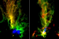 アルマ望遠鏡で撮影された2つの分子雲の疑似カラー合成図。赤色と緑色がそれぞれ、速度が異なる一酸化炭素の同位体分子13COからの電波を表す。左図の青色はハッブル宇宙望遠鏡により観測された水素電離ガスの分布を示し、右図の青色は波長1.3ミリメートル帯の濃いガスに含まれる塵からの電波を示す。2領域とも、フィラメントが集合している「かなめ」（図で青色に示している部分）の位置に大質量星が存在する。(c) ALMA (ESO/NAOJ/NRAO)/Fukui et al./Tokuda et al./NASA-ESA Hubble Space Telescope） 