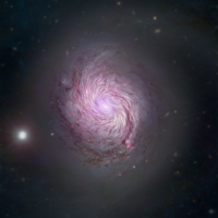 巨大渦巻銀河M77周辺の磁場の様子 （c）  NASA/SOFIA; NASA/JPL-Caltech/Roma Tre Univ.