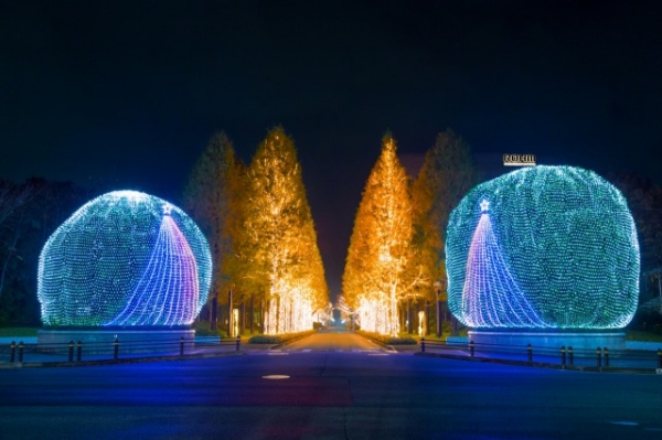 古都の夜を鮮やかに彩る、ローム本社周辺のイルミネーション。見事なメタコイア並木は、京都の冬の風物詩になっている。