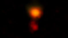 アルマ望遠鏡によって観測された星形成銀河「MAMBO-9」の電波画像。2つの部分で構成される銀河は、合体の途上にあるという。(c) ALMA (ESO/NAOJ/NRAO), C.M. Casey et al.; NRAO/AUI/NSF, B. Saxton
