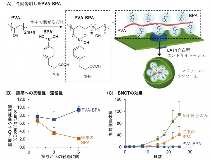 研究成果の概要（写真：東京工業大学の発表資料より）