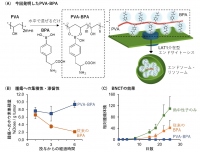 研究成果の概要（写真：東京工業大学の発表資料より）