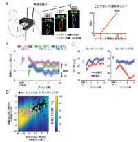 研究の概要（写真：東京農工大学の発表資料より）