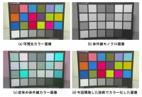 赤外線画像から天然色の画像へと変換する技術（写真：産業技術総合研究所の発表資料より）