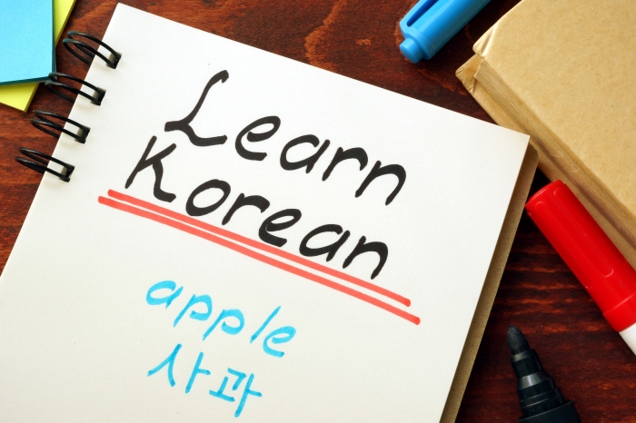 Twiceから学ぶ韓国語勉強法 財経新聞