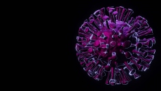 画像はイメージです。