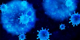 画像はイメージです。