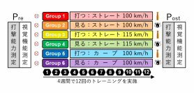 今回の実験で行われた練習。（画像: 順天堂大学の発表資料より）