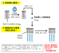 検査の手順（画像: 東京医科大学の発表資料より）