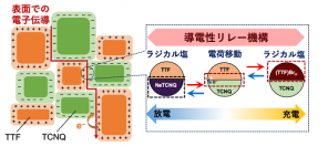 有機分子材料表面での電荷移動を用いた導電性電極と充放電反応の導電性リレー機構の模式図。（画像: 東北大学の発表資料より）
