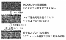 カーボンナノチューブの分子挙動を捉えた様子（写真：JSTの発表資料より）