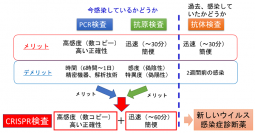 CONAN法による新型コロナウイルス検出法の概要（東京大医科学研究所の発表より）
