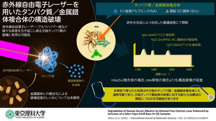 今回の研究の概要（画像: 東京理科大学報道発表資料より）
