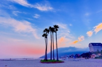 神戸市須磨区の須磨海浜公園。アメリカ西海岸を思わせる。（画像：神戸観光局の発表資料より）