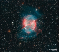 M27。このような惑星状星雲の生成プロセスが私たちの体を構成している炭素の由来だったのかもしれない。　(c) NASA