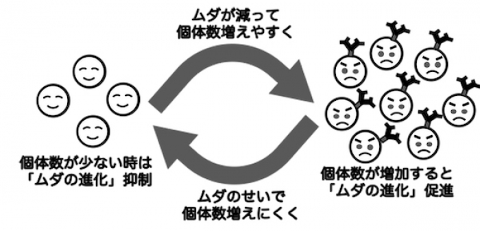 研究の概要（画像:京都大学報道発表資料より）